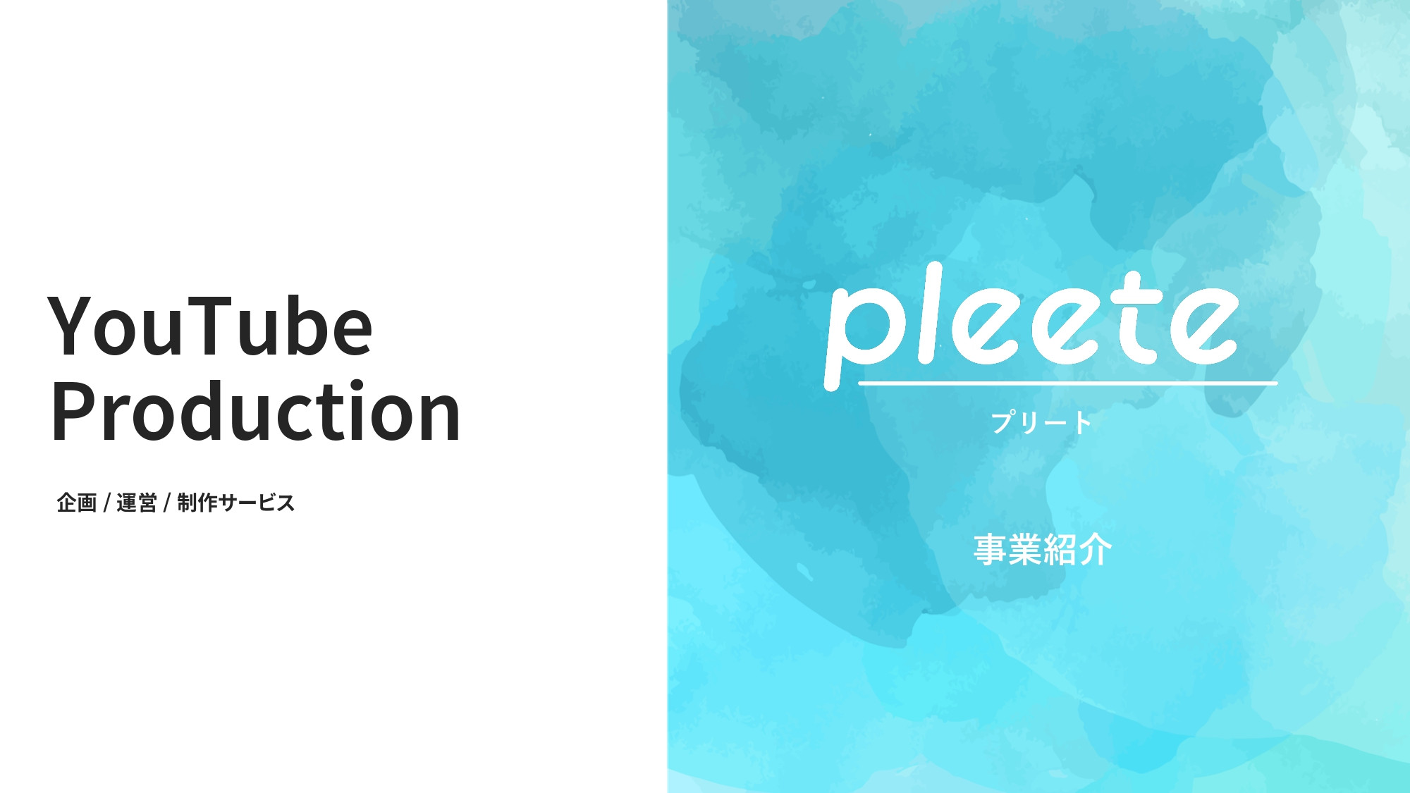 株式会社Pleete (プリート) - YouTube運営・制作 - {(0 + 1)}ページ目