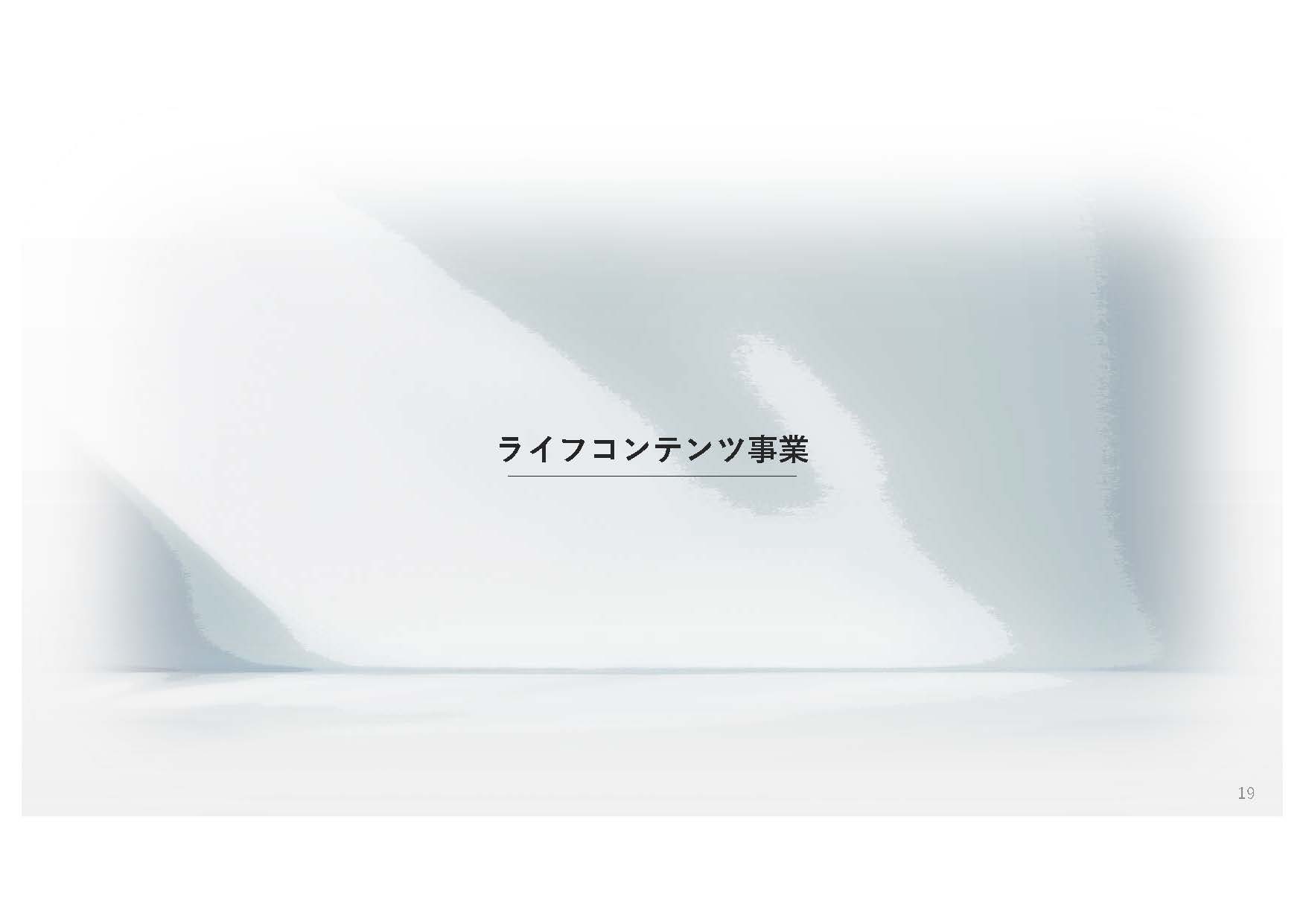 BlueFlame株式会社 - 会社案内 - {(18 + 1)}ページ目
