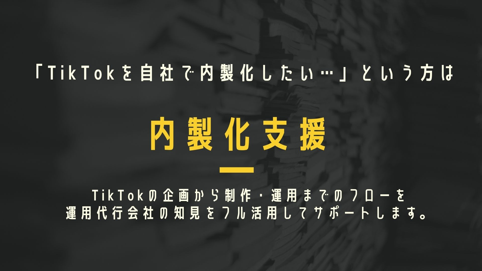 合同会社LEAD ONE - TikTok 運用代行 - {(19 + 1)}ページ目