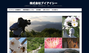株式会社ブイアイシー