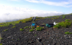 株式会社ラビットラン