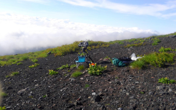 株式会社ラビットラン