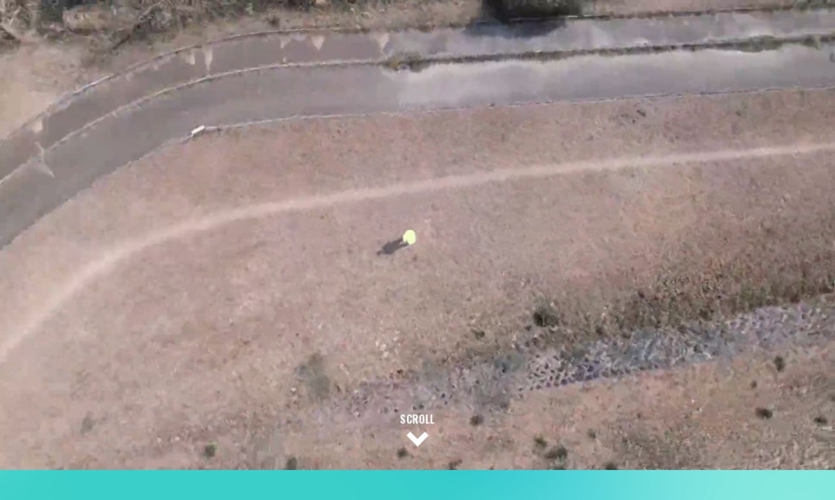 西日本映像株式会社