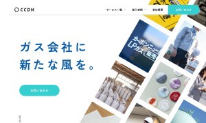 株式会社カラーコーディネーション