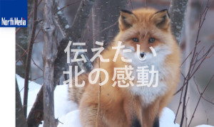 有限会社ノースメディア
