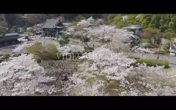 【ドローン空撮】石山寺様