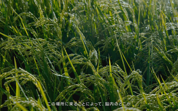 ジオグラムス株式会社の実績 - 株式会社Bot Express  自社オフィス紹介動画