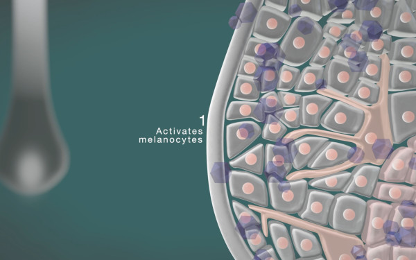 頭皮スキンケア成分作用機序