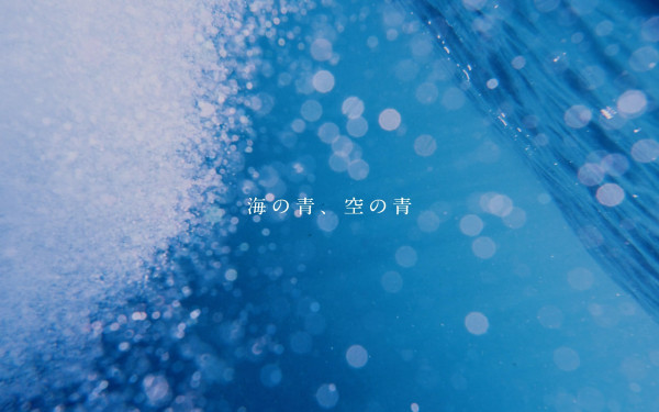 ジオグラムス株式会社の実績 - 株式会社青々 採用支援映動画