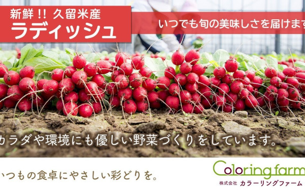 【株式会社カラーリングファーム 様】商品紹介動画